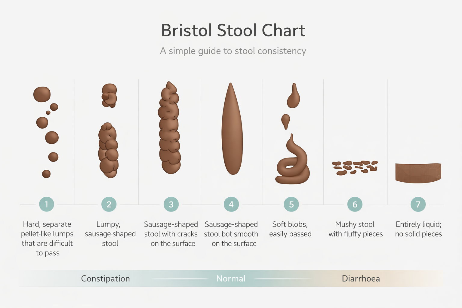 Bristol Stool Chart showing stool types 1 to 7 from constipation to diarrhoea